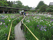 本土寺