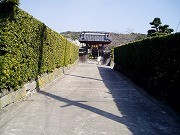安房国分寺