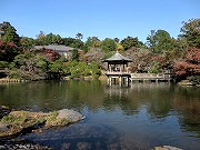 成田不動尊（新勝寺）
