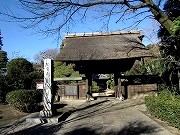 海岸寺