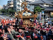 田端八幡神社 例大祭