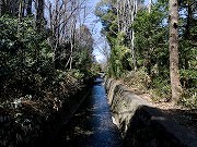 岡本静嘉堂緑地