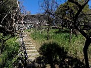 岡本静嘉堂緑地