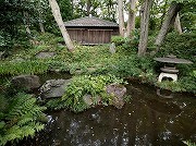 柏の宮公園 日本庭園
