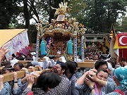 下高井戸浜田山八幡神社 例大祭