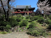 Ueno Park