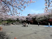 飛鳥山公園