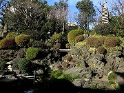 東覚寺 & 田端八幡神社
