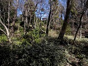 瀬田四丁目旧小坂緑地