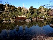 隅田公園 日本庭園