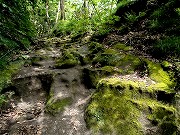 葛原岡神社 & 源氏山公園