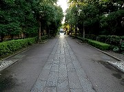 保土ケ谷神明社