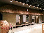 横須賀市自然・人文博物館