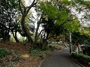 小田原別邸料理 清閑亭