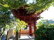 佐野厄除大師（惣宗寺）