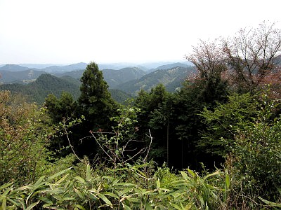 竹寺（八王寺）