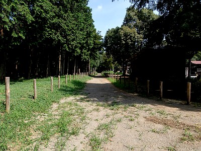 出雲伊波比神社