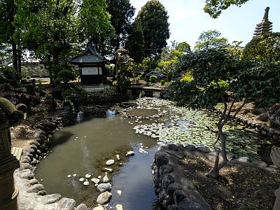 蓮花院