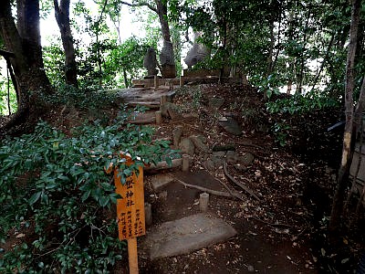 川越氷川神社
