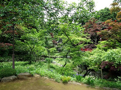 川越大師（喜多院）