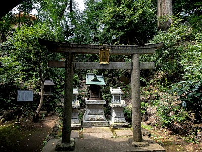 所沢神明社
