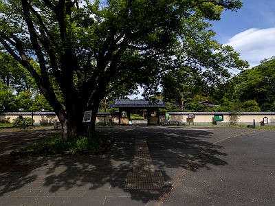 所沢航空記念公園