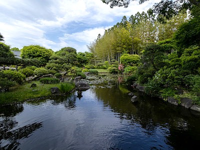 所沢航空記念公園