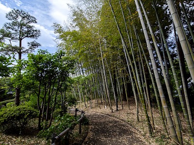 所沢航空記念公園
