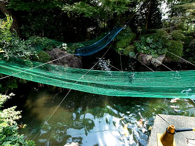 千葉市民ギャラリー・いなげ