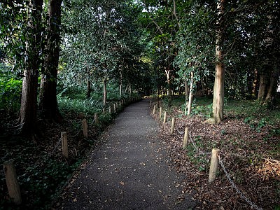 御瀧不動尊（金蔵寺）