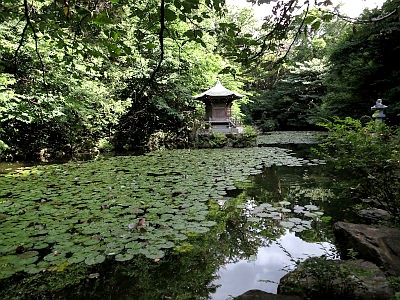 御瀧不動尊（金蔵寺）