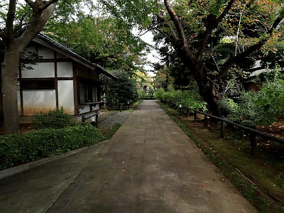 回向院 市川別院
