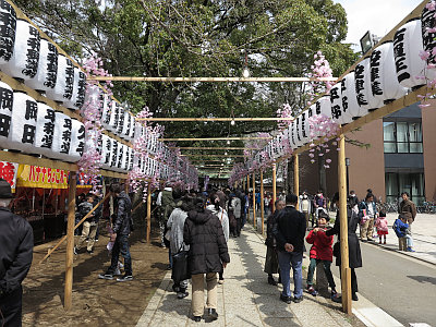 葛飾八幡宮 例大祭