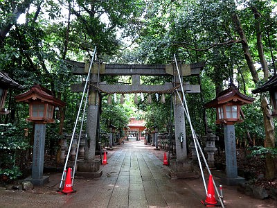 駒木諏訪神社