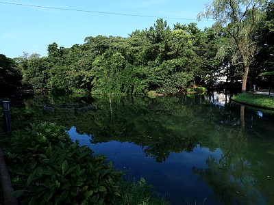 藤崎森林公園