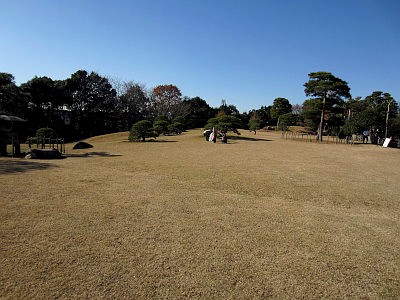旧堀田邸 & さくら庭園