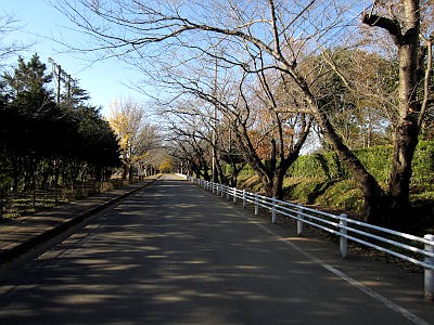 佐倉城跡