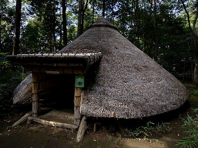 松戸市立博物館
