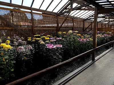 成田不動尊(新勝寺)