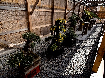 成田不動尊(新勝寺)