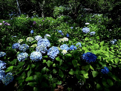 宗吾霊堂（東勝寺）
