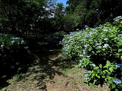 宗吾霊堂（東勝寺）