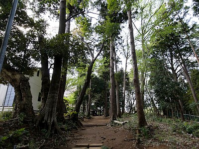 上志津八幡神社