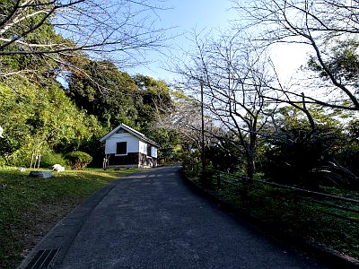 館山城跡