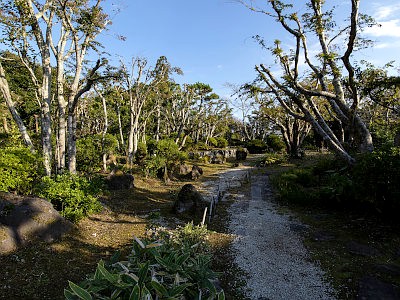 館山城跡