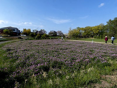都市農業公園