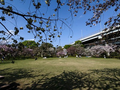 都市農業公園