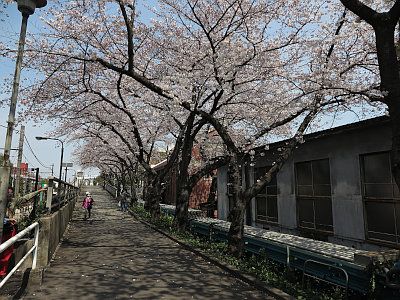 三河島水再生センター