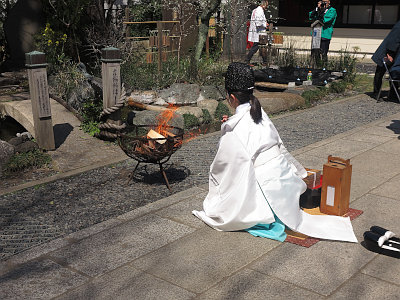 素盞雄神社 桃まつり