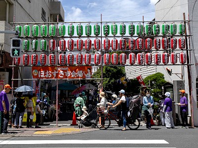 文京朝顔・ほおずき市